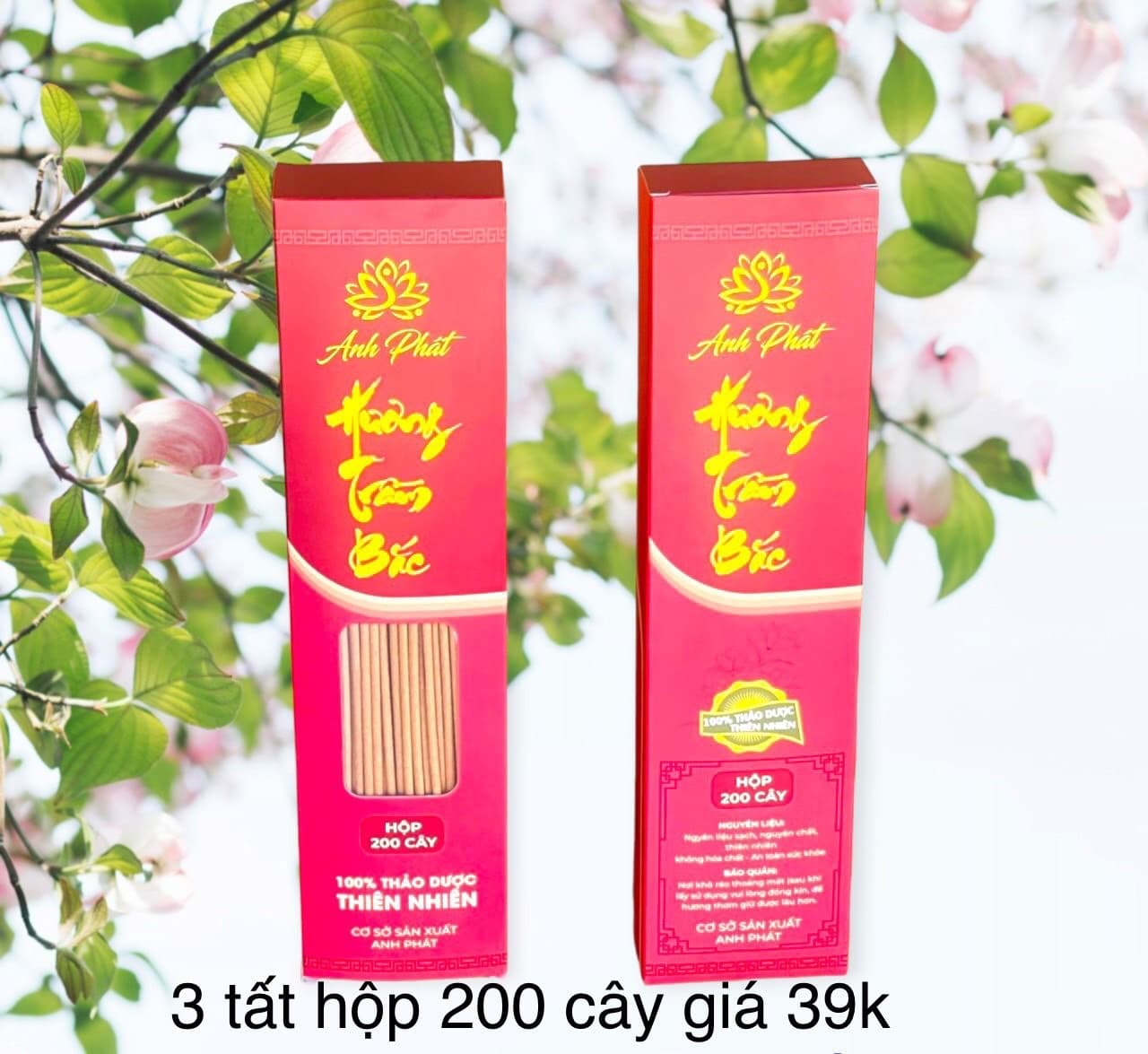 hộp 200 cây cao 29cm