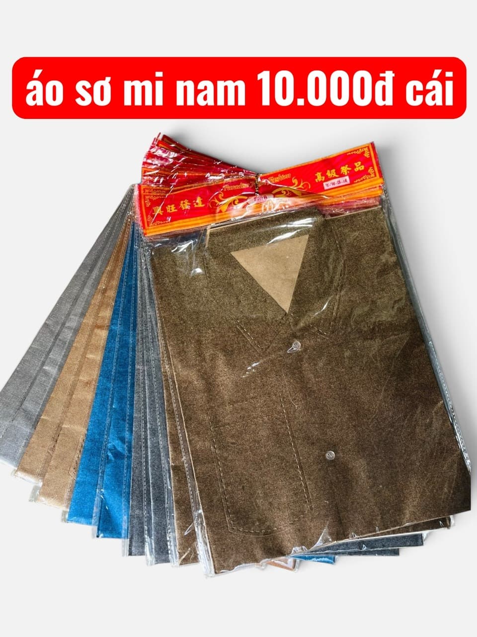 áo sơ mi màu